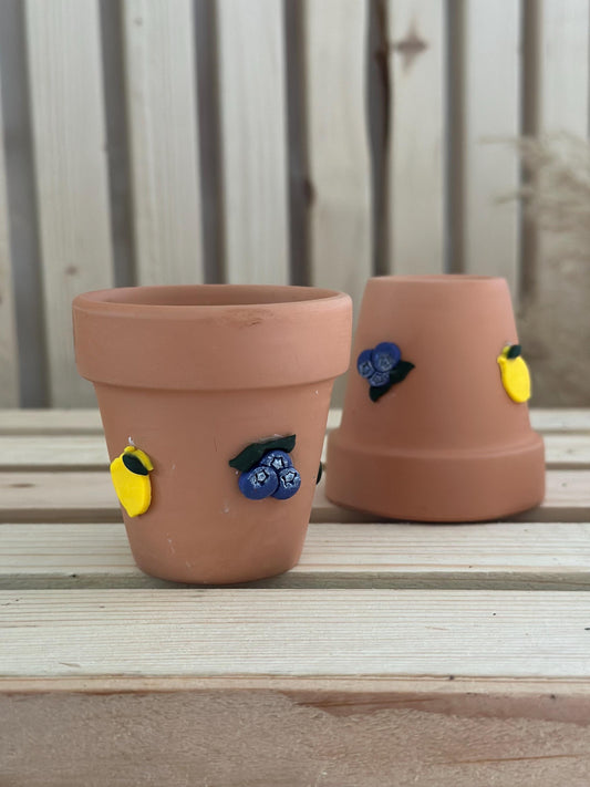 Fruity Decorative Terracotta Planter Pot