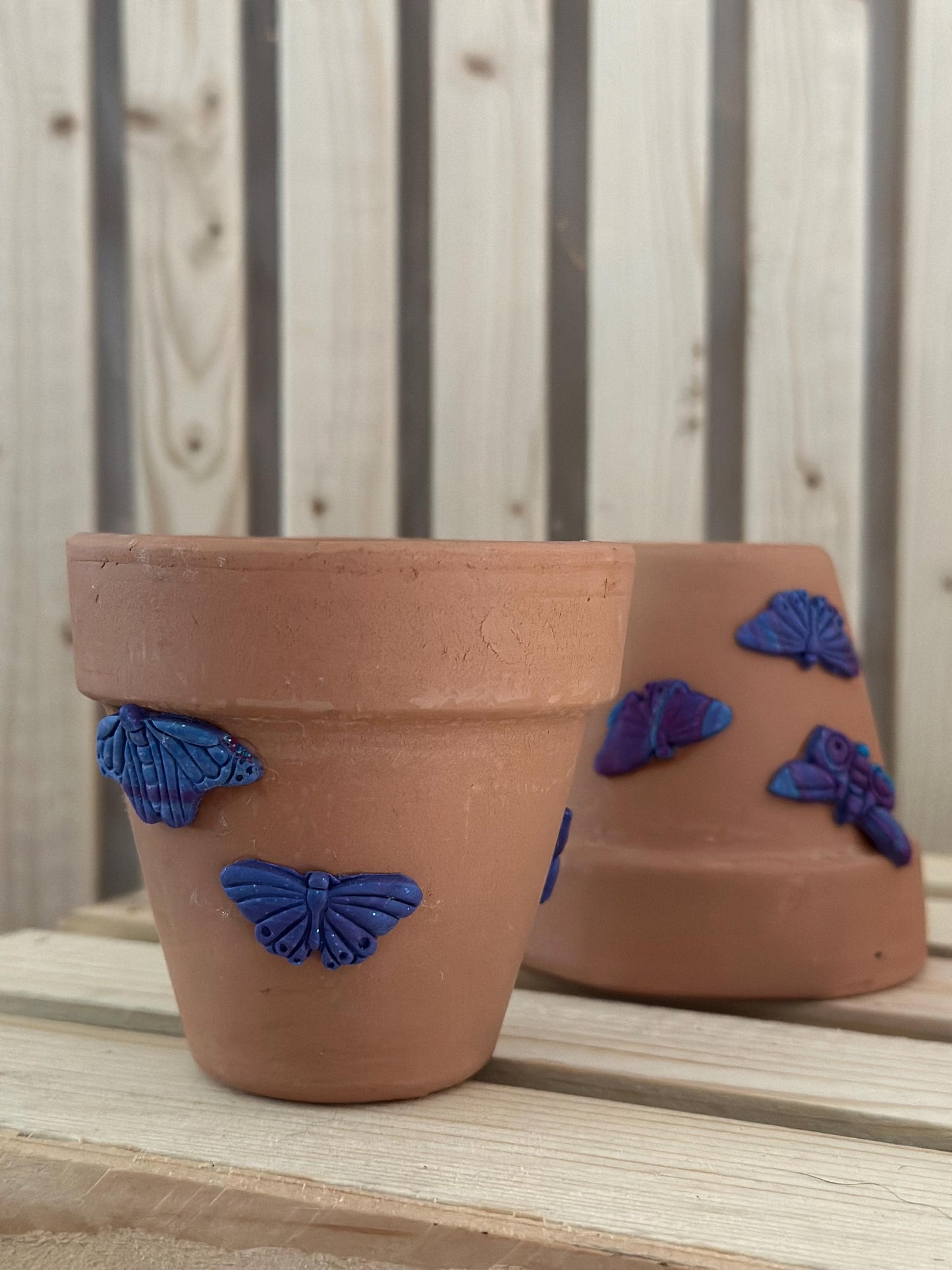 Butterfly Decorative Terracotta Planter Pot