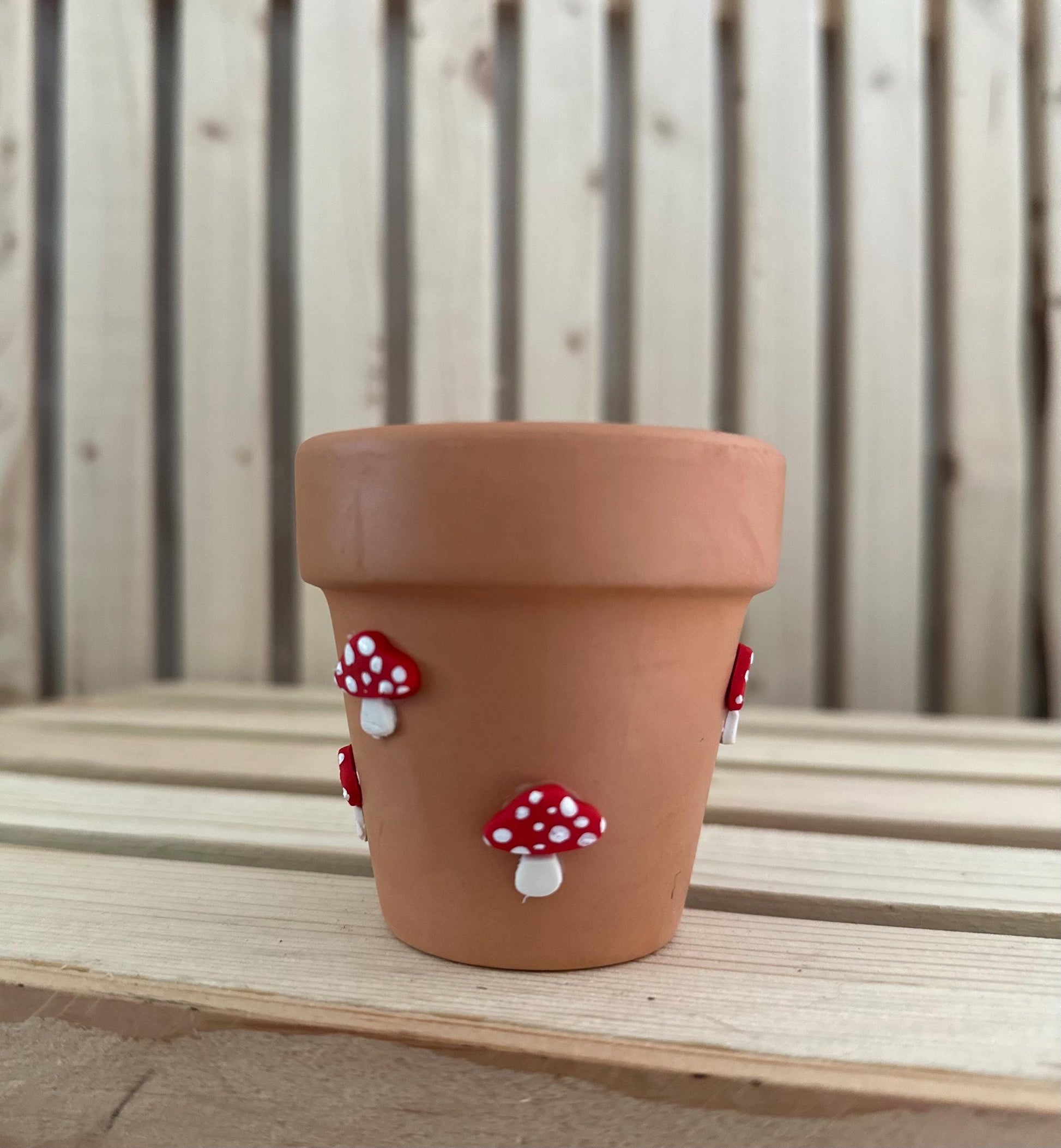 Fruity Decorative Terracotta Planter Pot