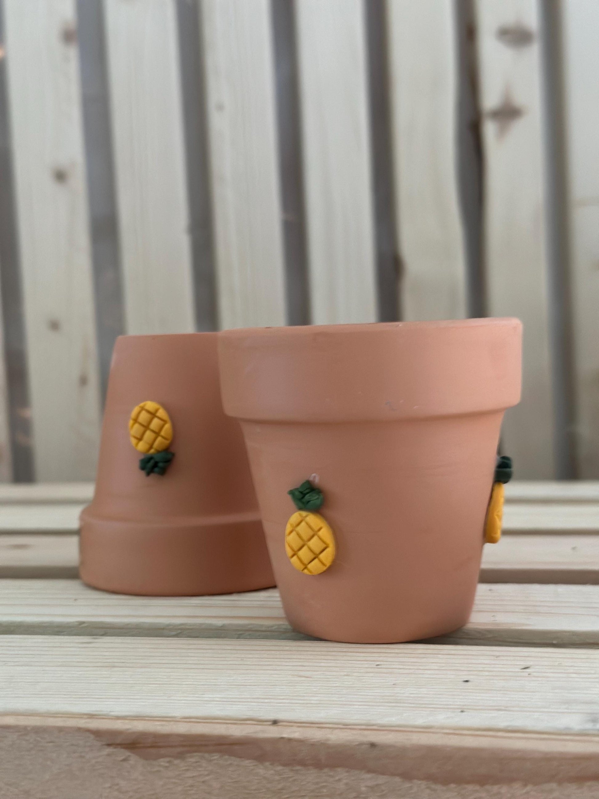 Fruity Decorative Terracotta Planter Pot