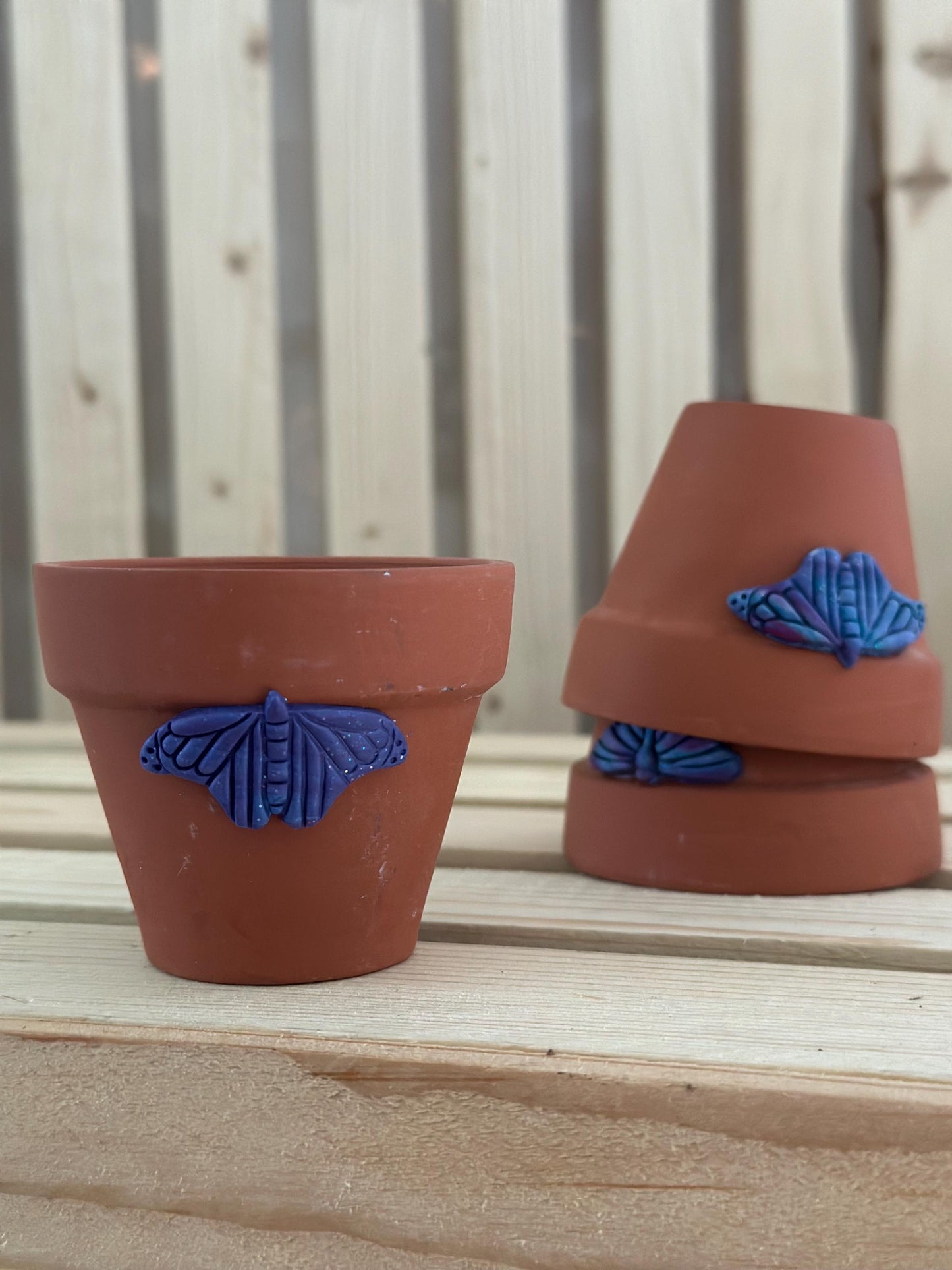 Butterfly Decorative Terracotta Planter Pot